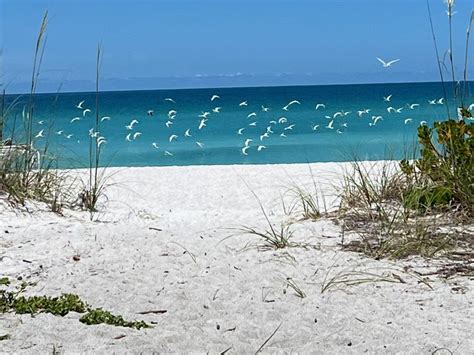 longboat key nightly rentals.